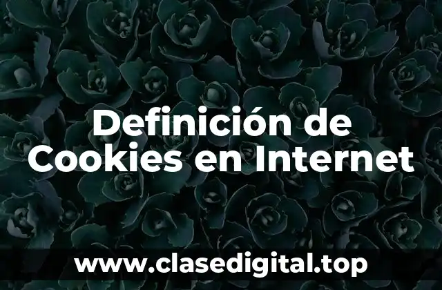 Definición de Cookies en Internet