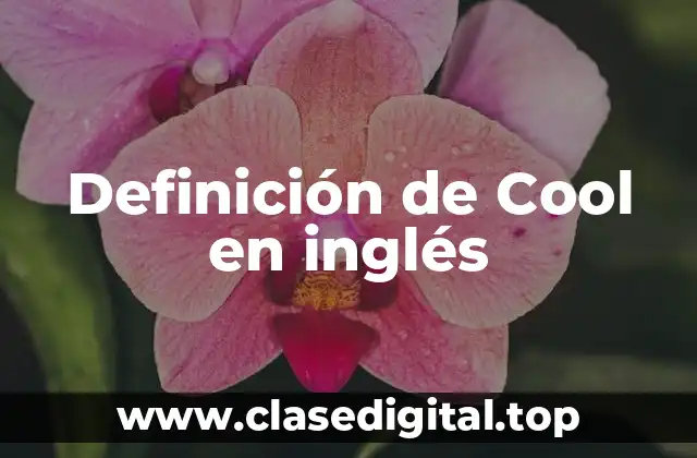 Definición de Cool en inglés