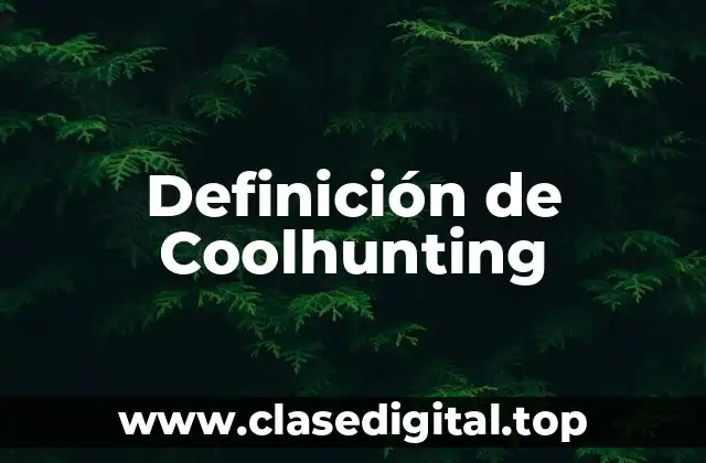 Definición de Coolhunting