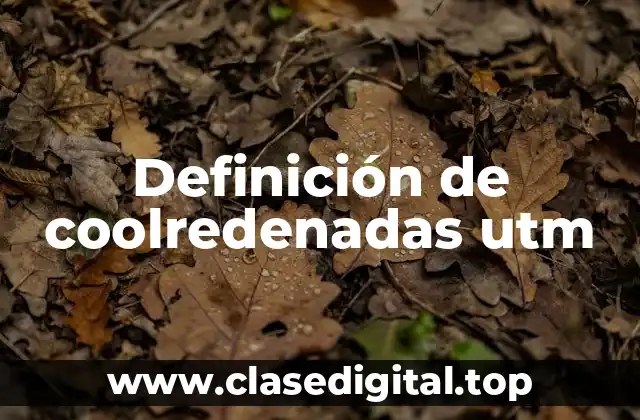 Definición de coolredenadas utm