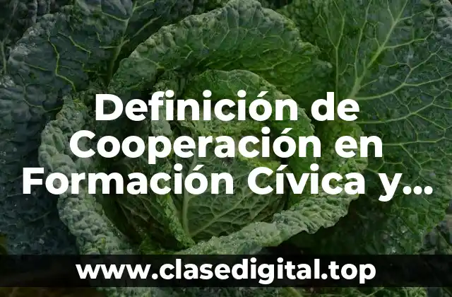 Definición de Cooperación en Formación Cívica y Ética