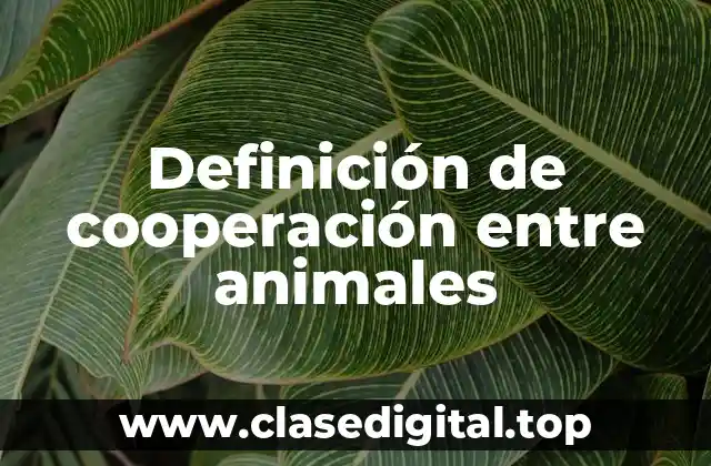 Definición de cooperación entre animales