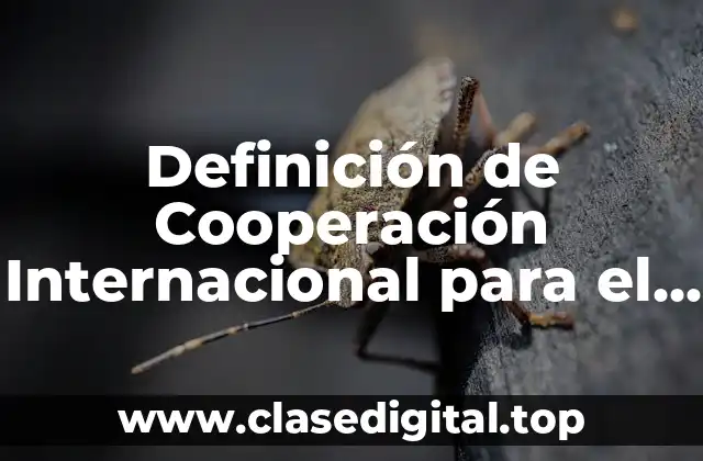 Ejemplos de Cooperación Internacional para el Desarrollo