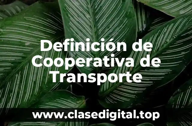 Definición de Cooperativa de Transporte