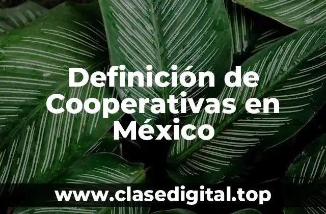 Definición de Cooperativas en México