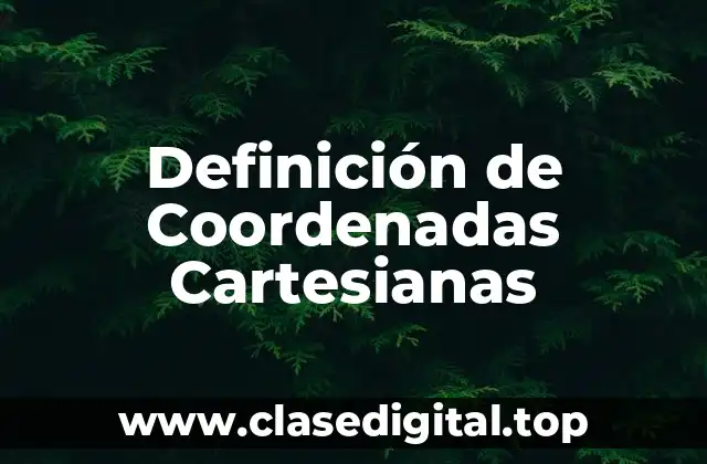 Definición técnica de Coordenadas Cartesianas