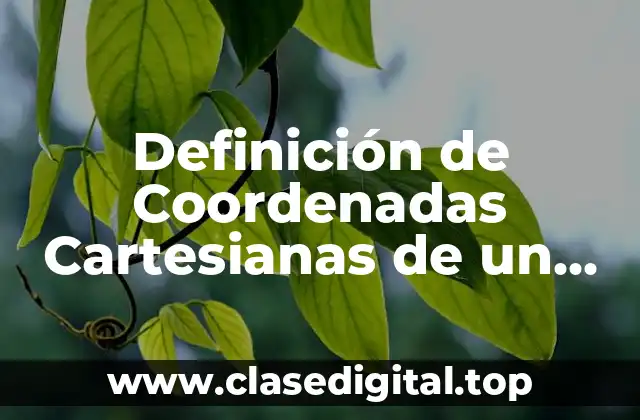 Definición de Coordenadas Cartesianas de un Punto