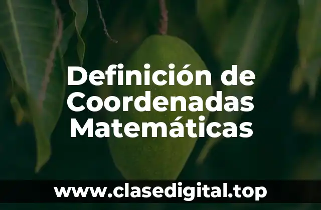 Definición de Coordenadas Matemáticas