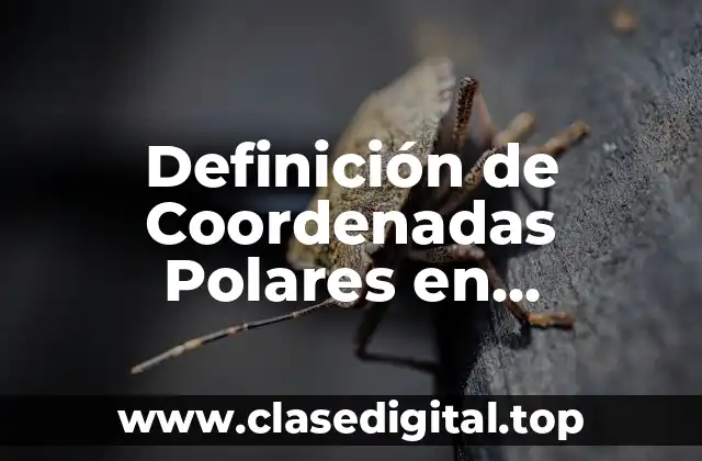 Definición de Coordenadas Polares en Geometría