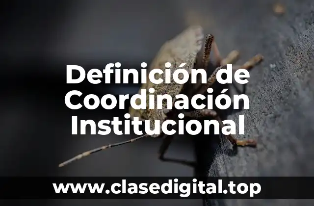 Definición de Coordinación Institucional