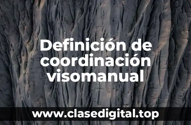 Definición de coordinación visomanual