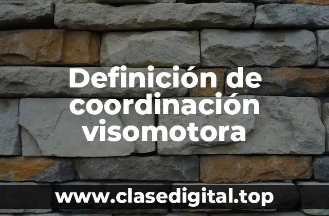 Definición de coordinación visomotora