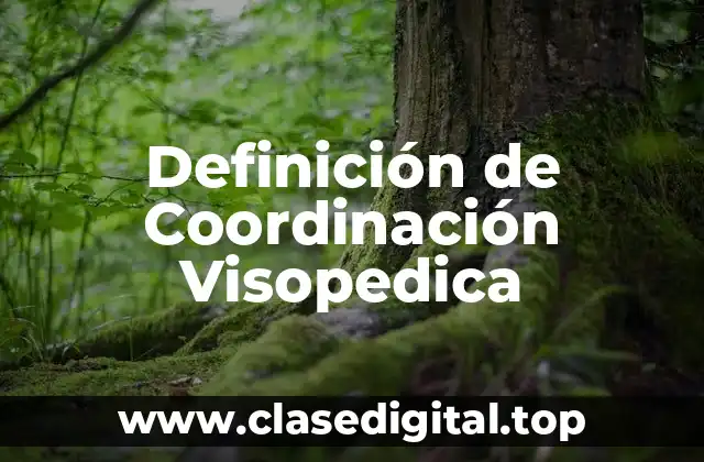 Definición de Coordinación Visopedica