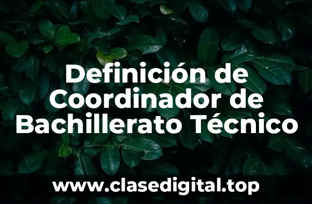 Definición de Coordinador de Bachillerato Técnico