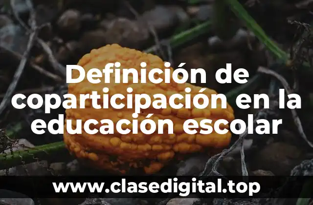 Ejemplos de coparticipación en la educación escolar