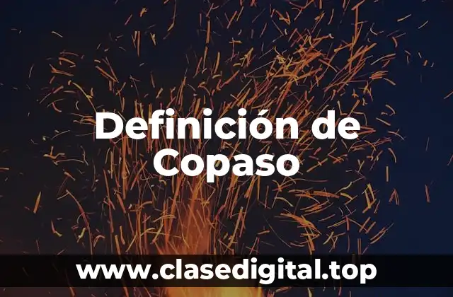 Definición técnica de Copaso