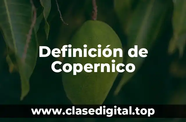 Definición técnica de Copernico