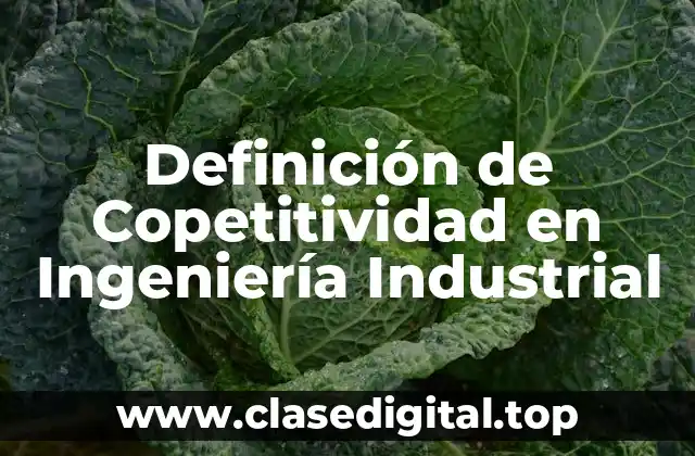 Definición de Copetitividad en Ingeniería Industrial
