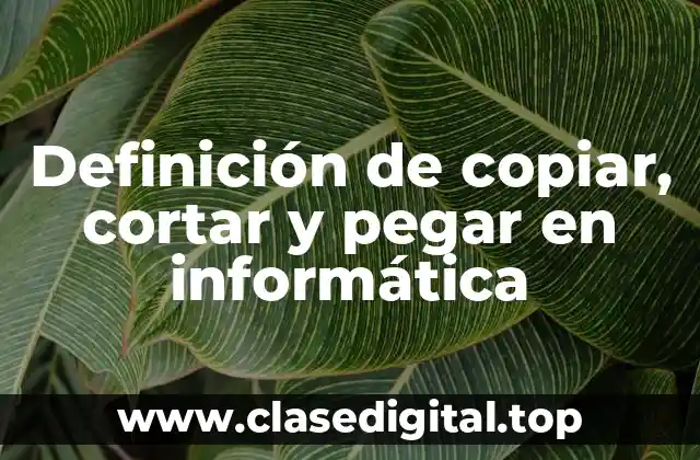Definición de copiar, cortar y pegar en informática