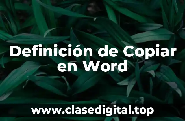 Definición de Copiar en Word