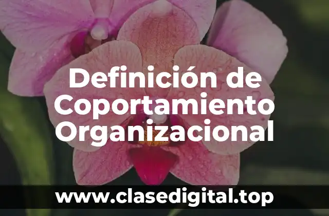 Definición de Coportamiento Organizacional
