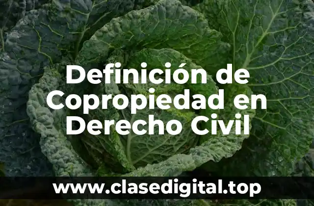 Definición técnica de Copropiedad en Derecho Civil