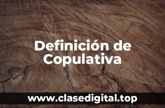 Definición de Copulativa