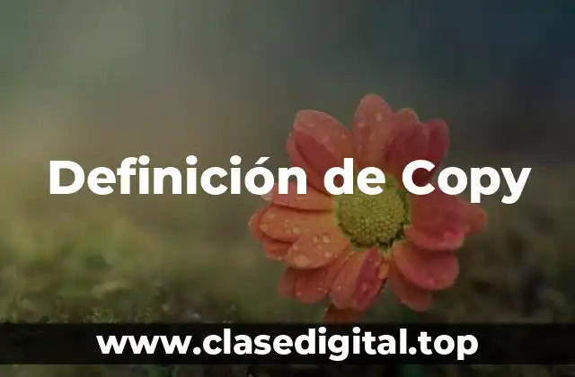 Definición técnica de Copy