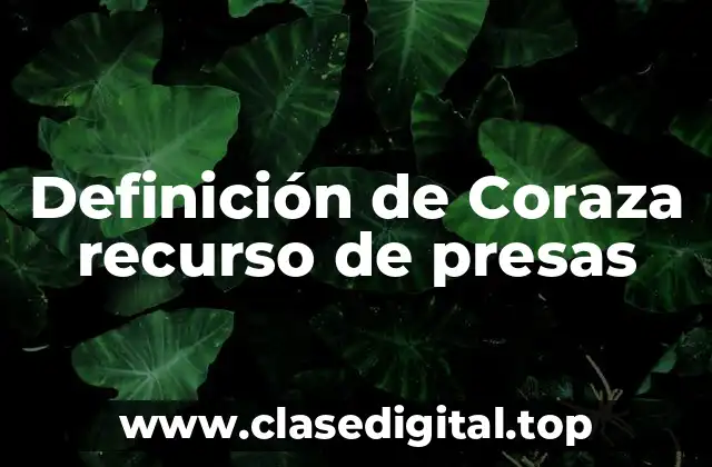 Definición de Coraza recurso de presas