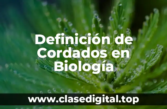 Definición de Cordados en Biología