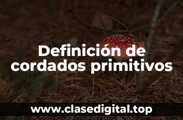 Definición de cordados primitivos