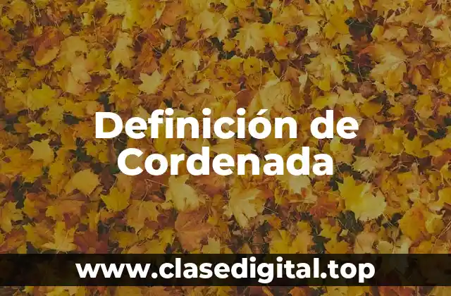 Definición de Cordenada
