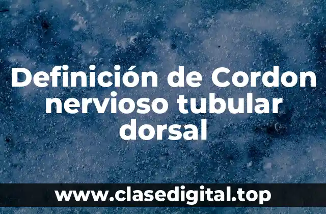 Definición de Cordon nervioso tubular dorsal