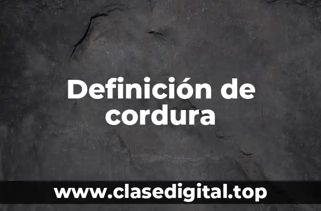 Definición técnica de cordura