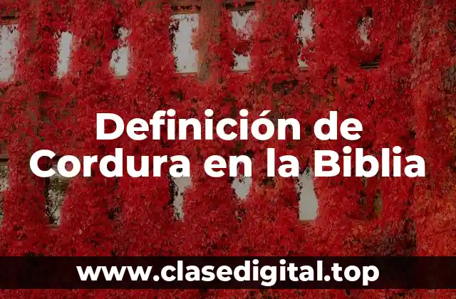 Definición de Cordura en la Biblia