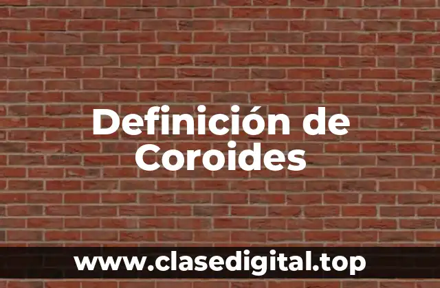 Definición de Coroides