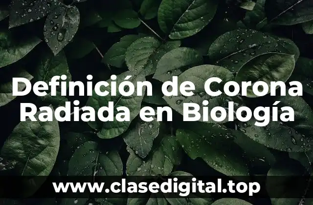 Definición de Corona Radiada en Biología