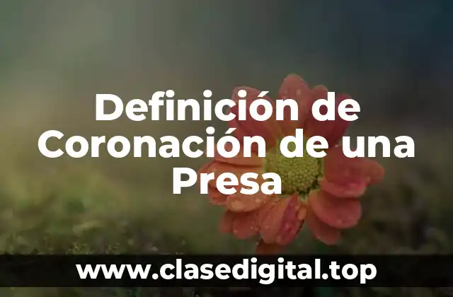 Definición de Coronación de una Presa