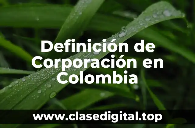 Definición de Corporación en Colombia