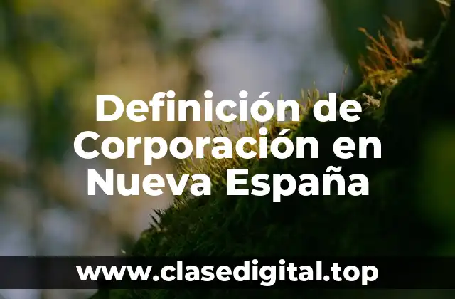 Definición de Corporación en Nueva España