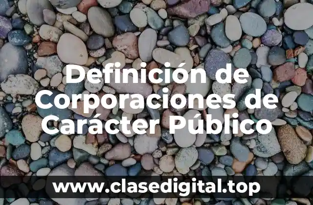 Definición de Corporaciones de Carácter Público