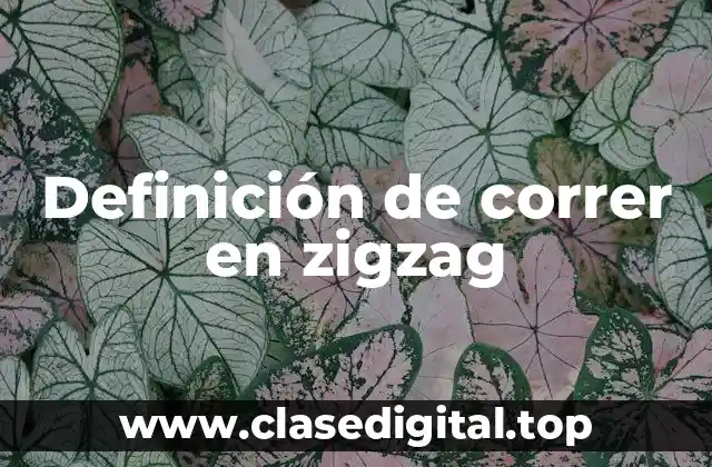 Definición de correr en zigzag
