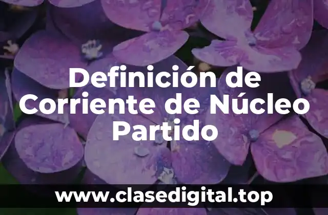 Definición de Corriente de Núcleo Partido