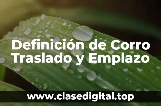 Definición de Corro Traslado y Emplazo