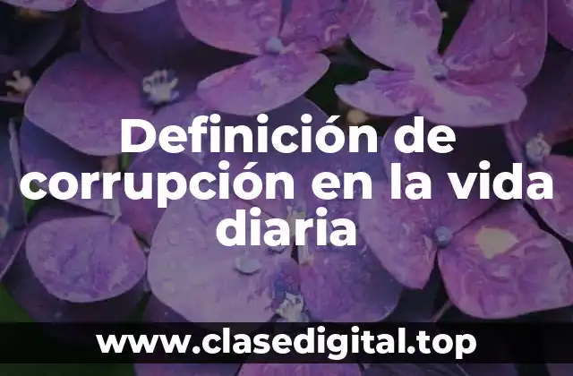 Definición de corrupción en la vida diaria
