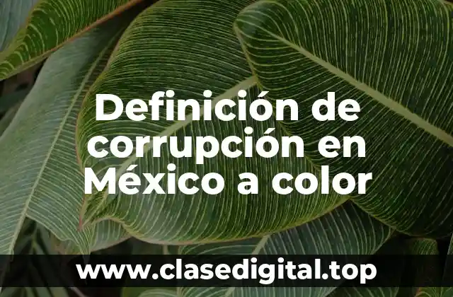 Definición de corrupción en México a color