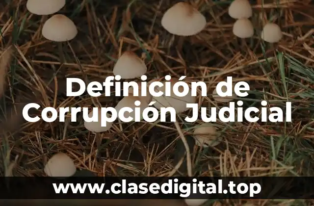 Definición de Corrupción Judicial