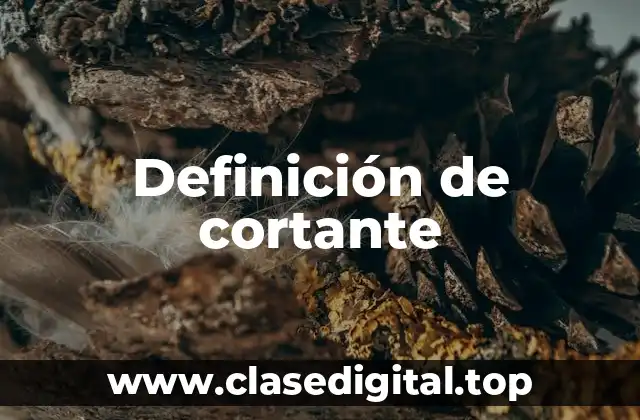 Definición técnica de cortante