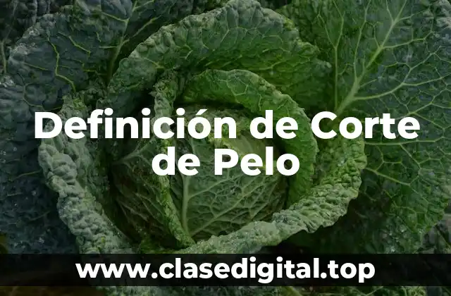 Definición de Corte de Pelo