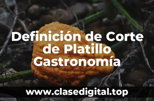 Definición de Corte de Platillo Gastronomía